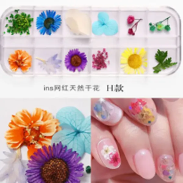 Caja de Flores secas 12 colores H