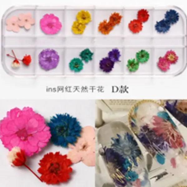 Caja de Flores secas 12 colores D