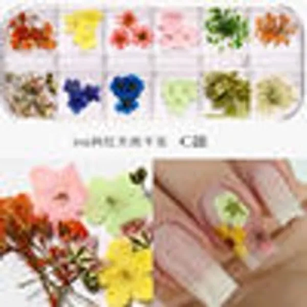 Caja de Flores secas 12 colores C