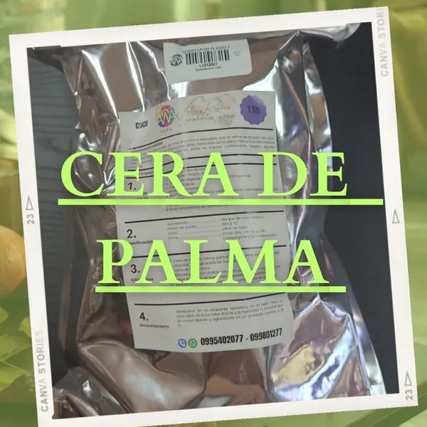 1 kilo de arena de palma
