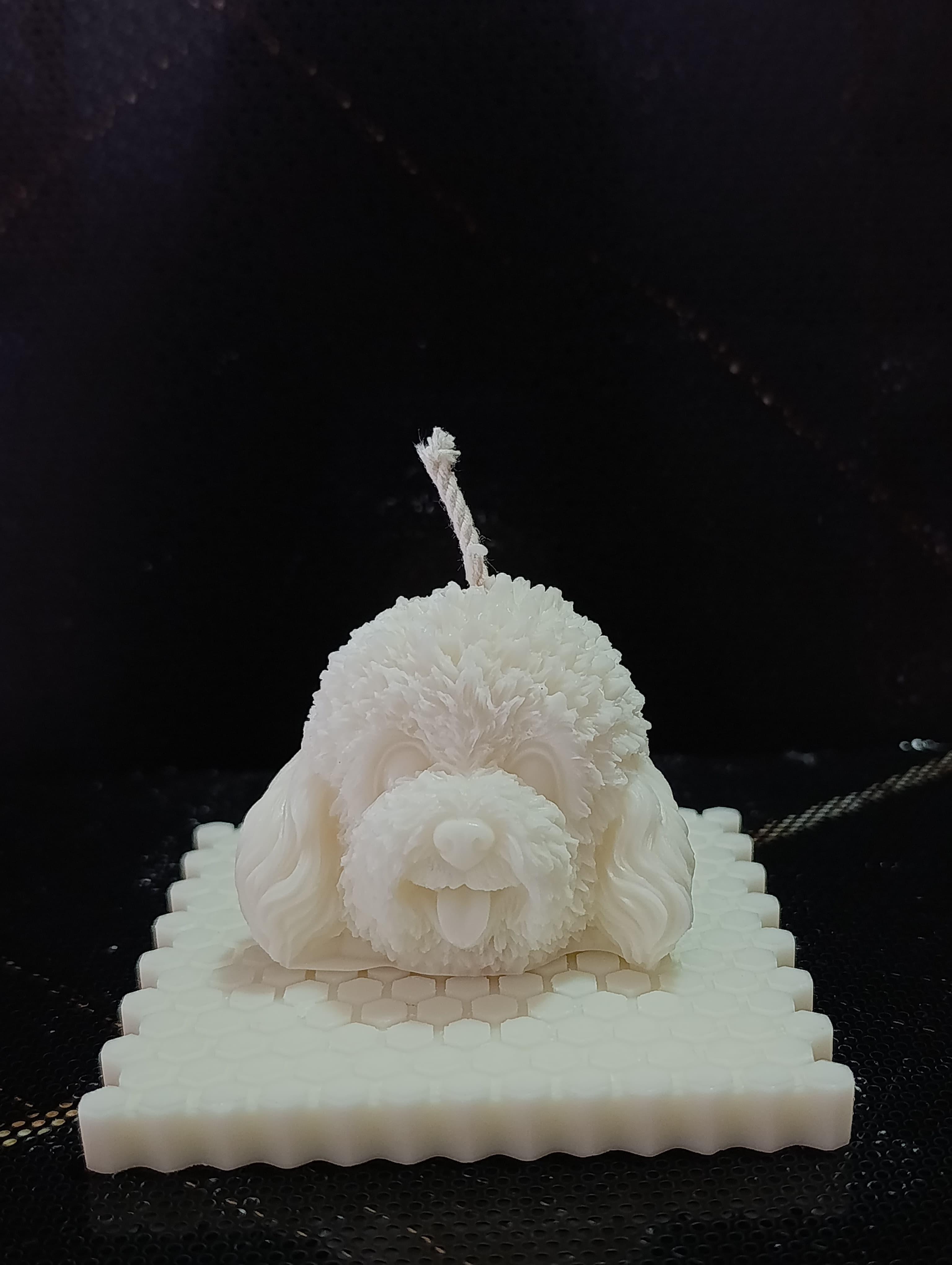 VELA CABEZA DE PERRITO 1