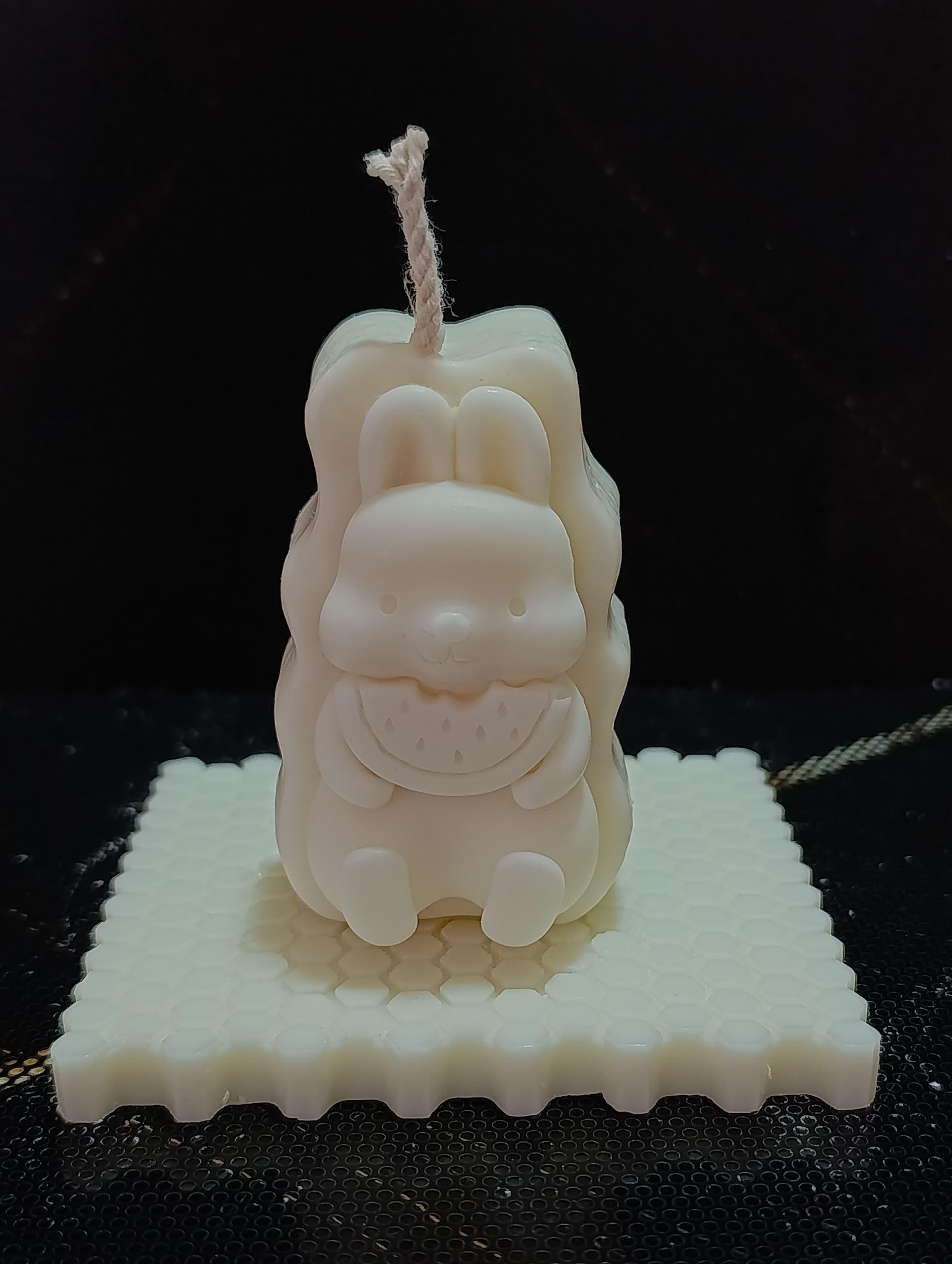 VELA ARDILLA PLANA 4