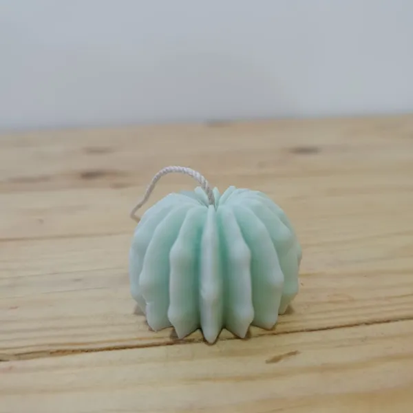 VELA CACTUS PEQUEÑA 1,80 USD