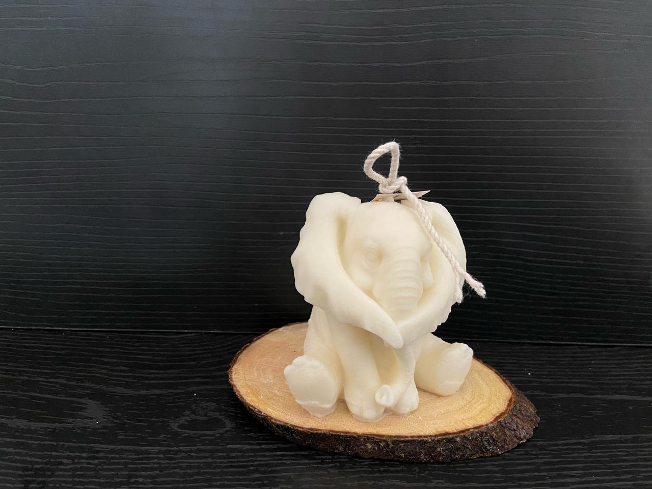 VELA ELEFANTE NO ESCUCHAR