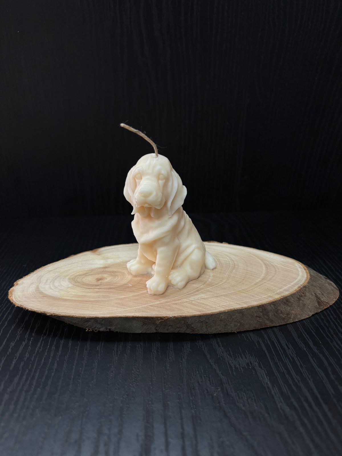 VELA PERRO SABUESO GOLDEN